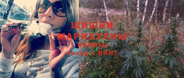 тгк Заводоуковск