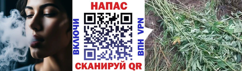 Канабис сатива  Купить где  Окуловка 